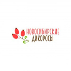 Образовательный проект локальных этногастроэкспедиций «Новосибирские дикоросы» 